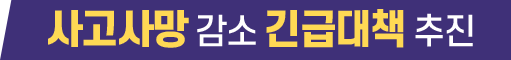 사고사망 감소 긴급태책 추진