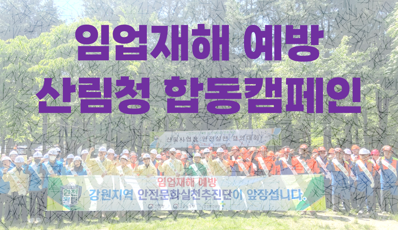 [강원] 임업재해 예방 산림청 합동캠페인