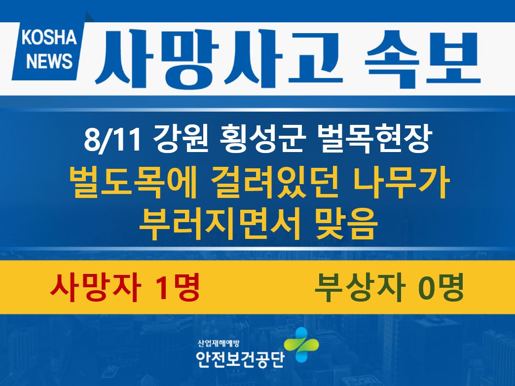 [8/11, 강원 횡성군] 벌도목에 걸려있던 나무가 부려지면서 맞음