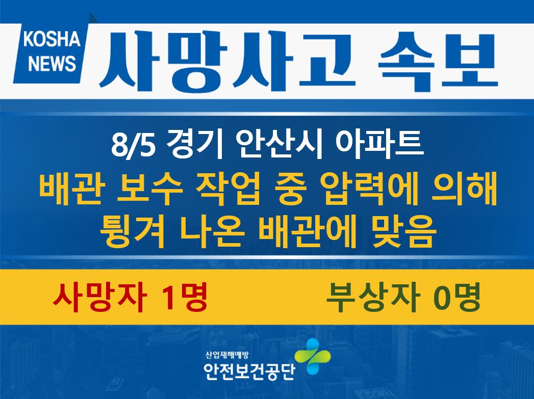 [8/5, 경기 안산시] 튕겨 나온 배관에 맞음