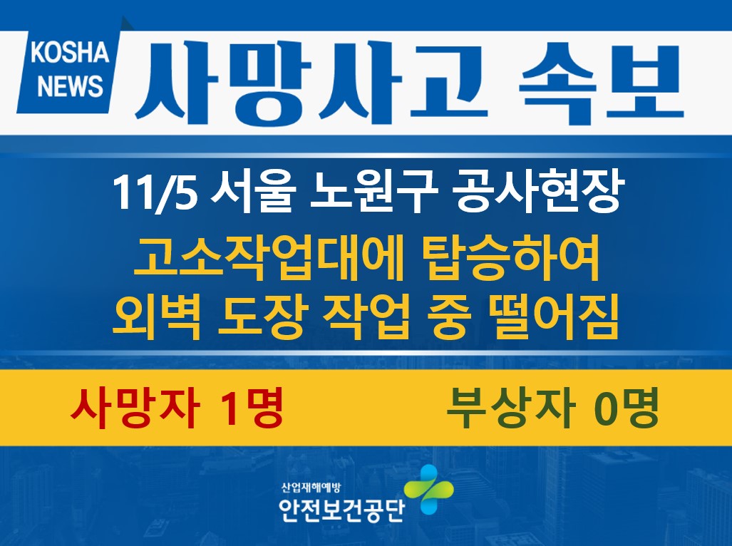 [11/5, 서울 노원구] 외벽 도장 작업 중 떨어짐