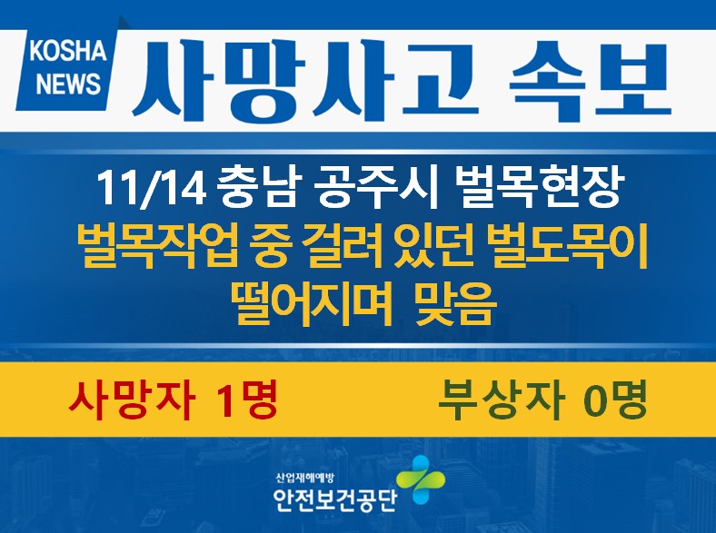 [11/14, 충남 공주시] 벌도목에 맞음