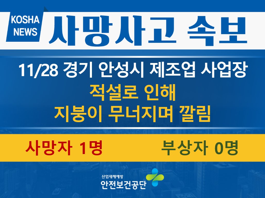 [11/28, 경기 안성시] 적설로 인해 지붕이 무너지면서 깔림