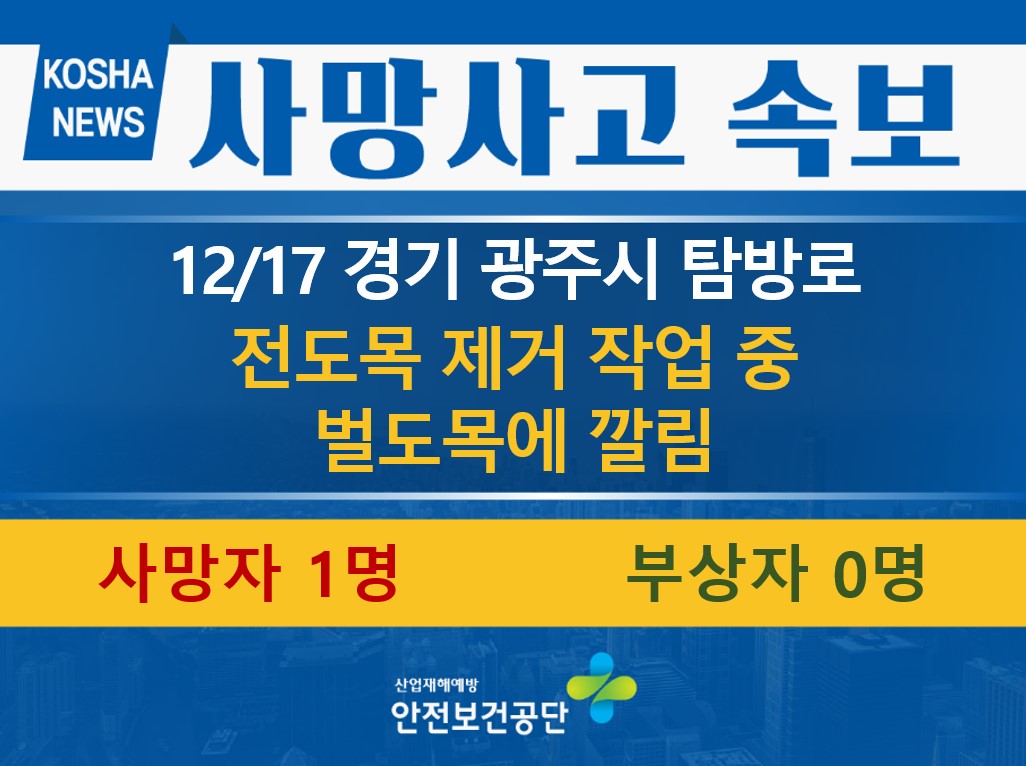 [12/17, 경기 광주시] 전도목 제거 작업 중 벌도목에 깔림
