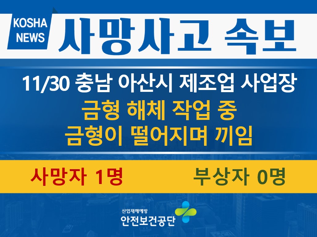 [11/30, 충남 아산시] 금형 해체 작업 중 금형에 끼임