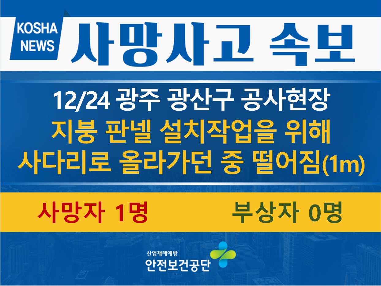 [12/24, 광주 광산구] 사다리로 올라가던 중 떨어짐