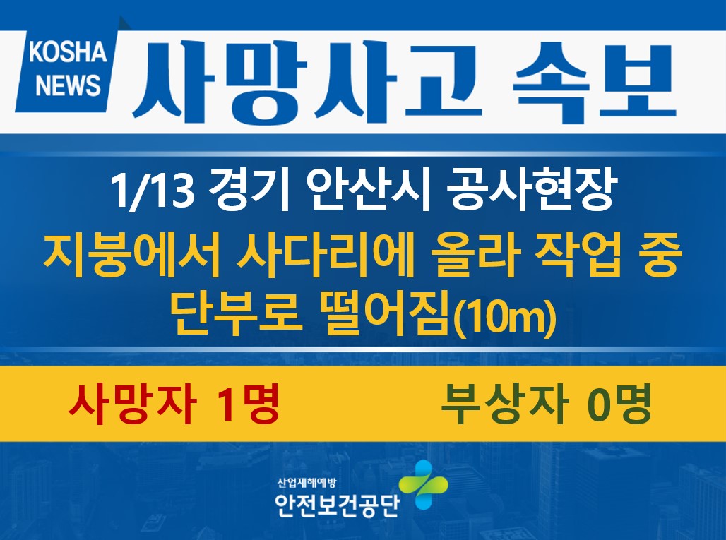 [1/13, 경기 안산시] 사다리에 올라 작업 중 떨어짐
