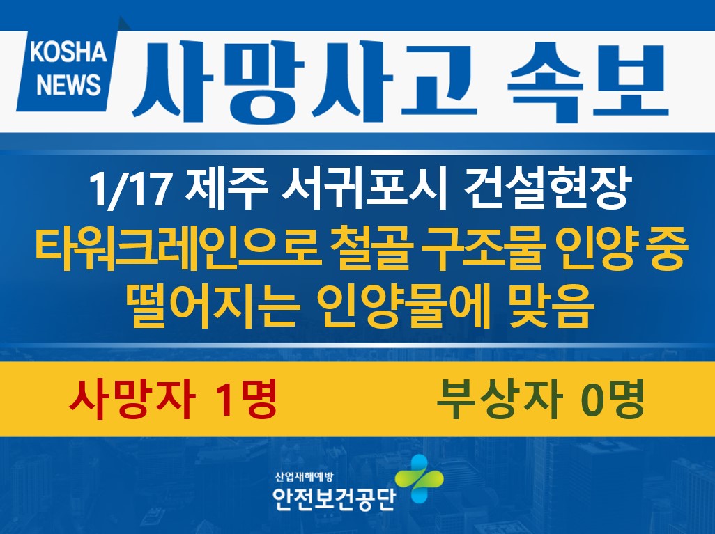 [1/17, 제주 서귀포시] 떨어지는 인양물에 맞음 