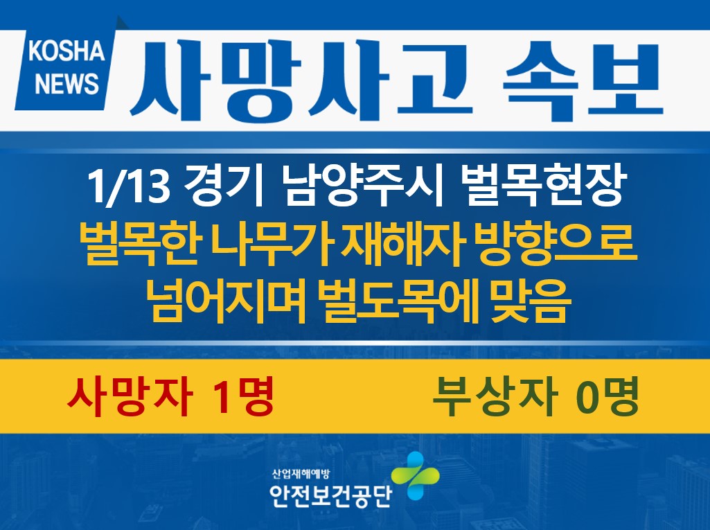 [1/13, 경기 남양주시] 벌도목에 맞음