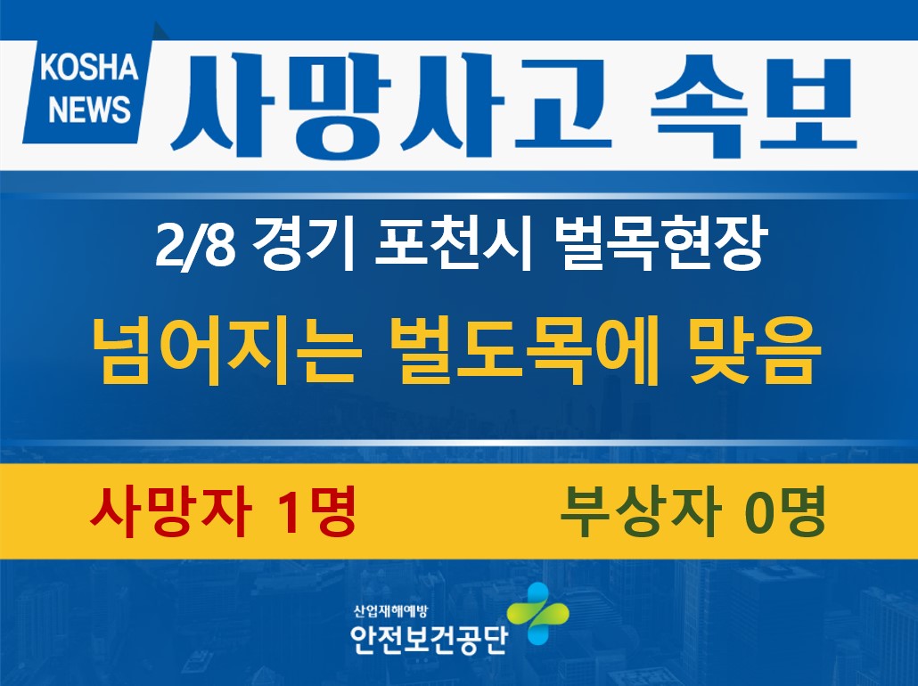 [2/8, 경기 포천시] 넘어지는 벌도목에 맞음