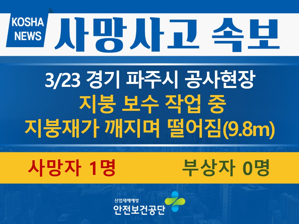[3/23, 경기 파주시] 지붕재가 깨지며 떨어짐