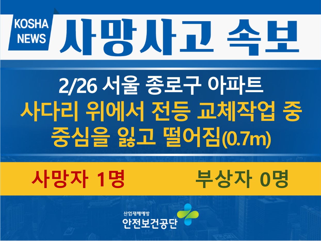 [2/26, 서울 종로구] 사다리에서 떨어짐