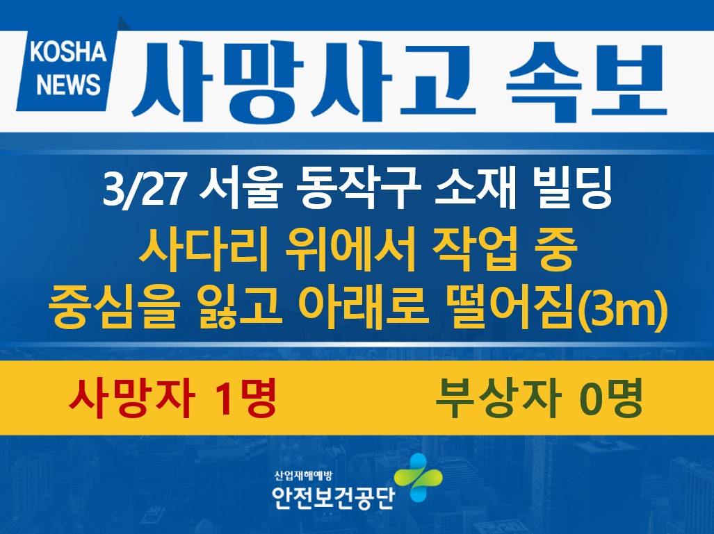 [3/27, 서울 동작구] 사다리에서 작업 중 떨어짐