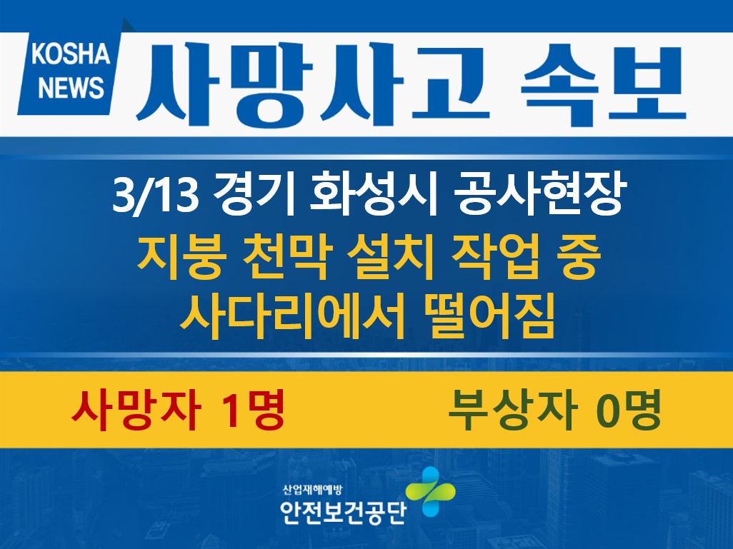 [3/13, 경기 화성시] 사다리에서 떨어짐