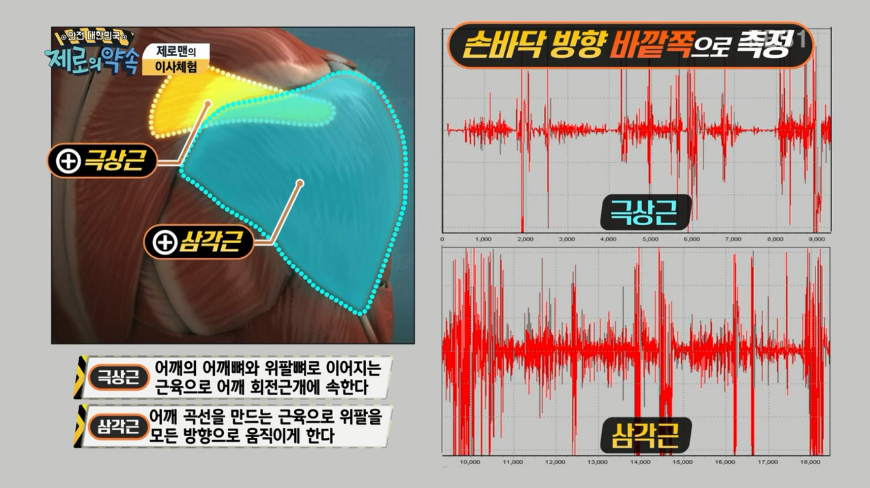 이삿짐 운반 재해 예방 / 화학공장 대형사고 예방