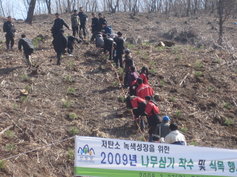 2009년 나무심기 행사