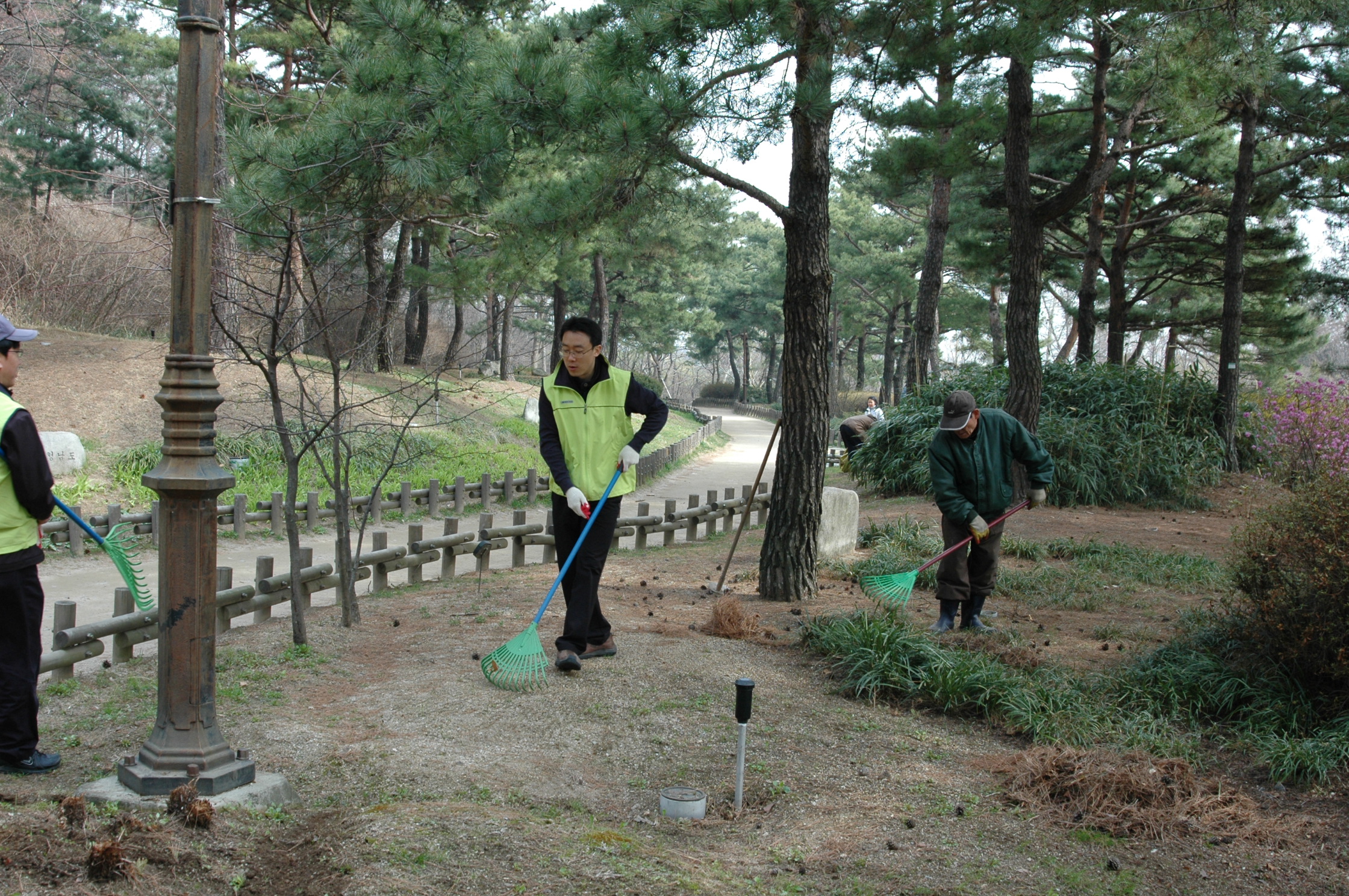 남산 야외식물원 환경봉사...