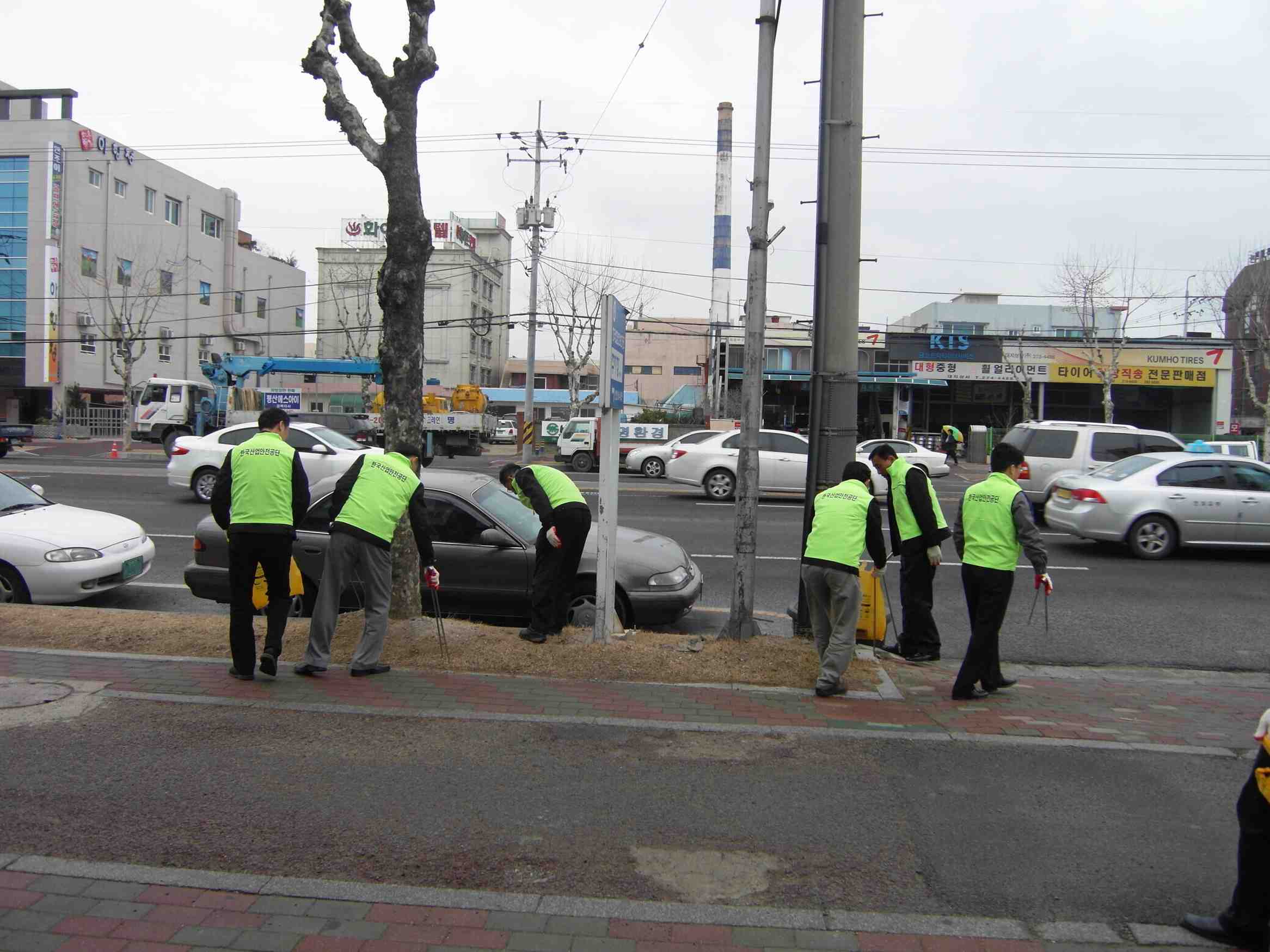 환경정화활동 실시