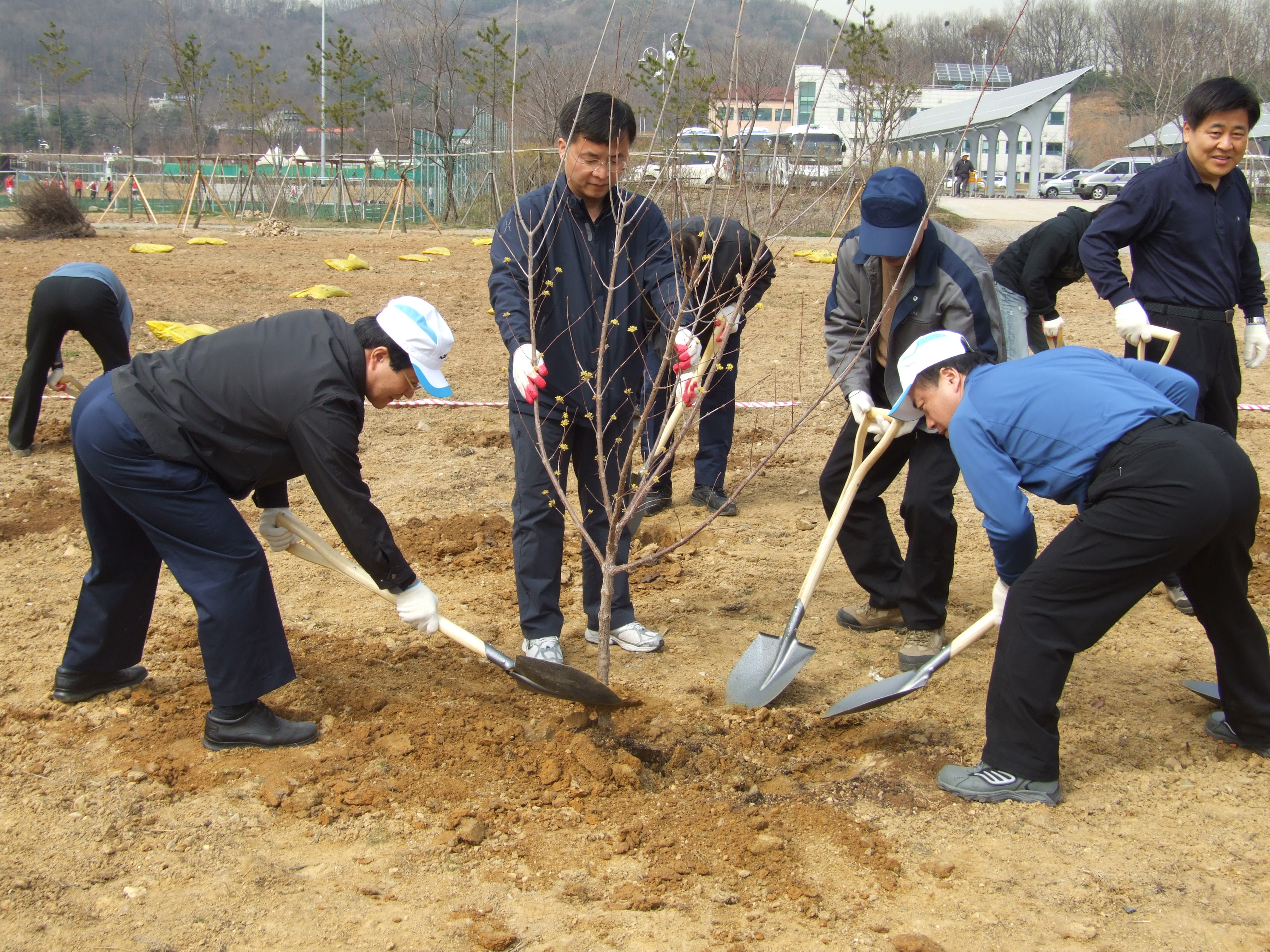 식목행사 실시 