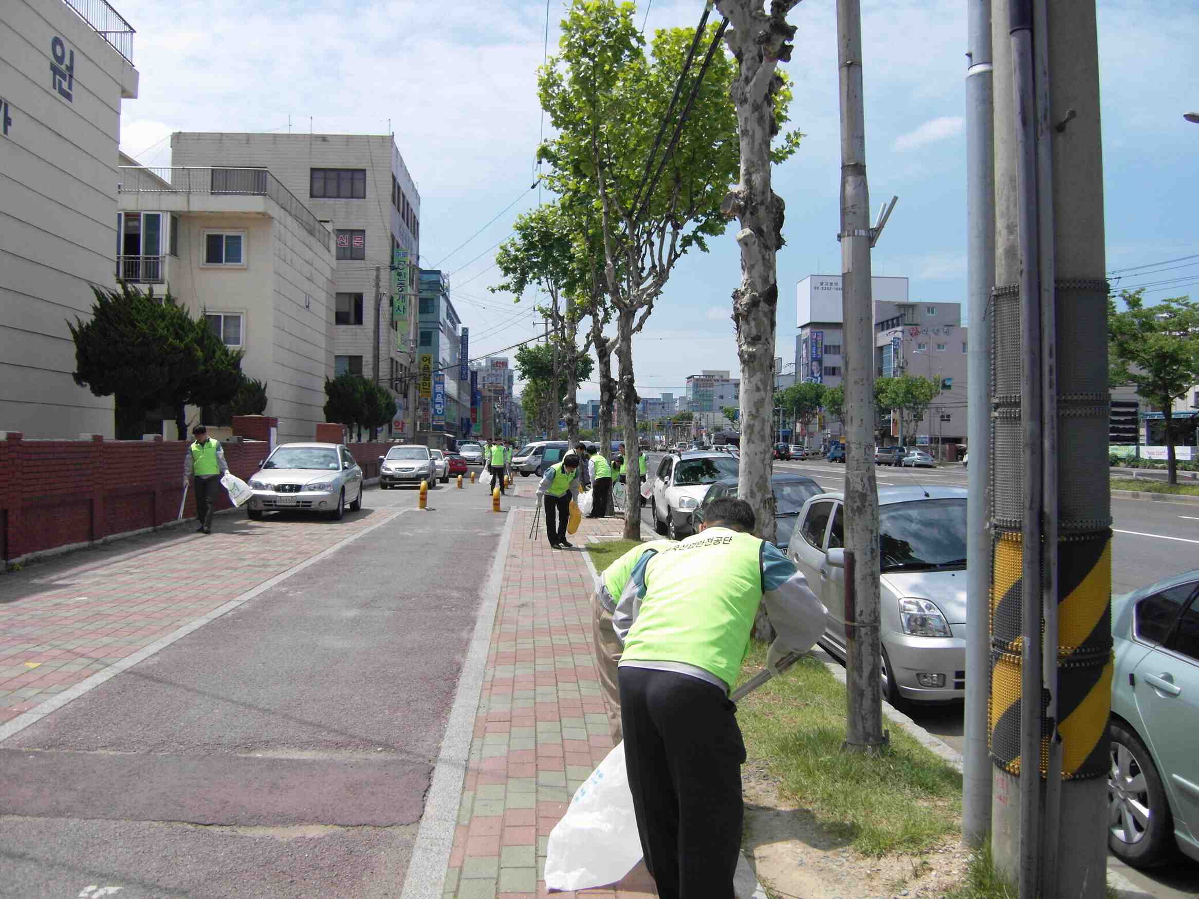 환경정화활동 실시