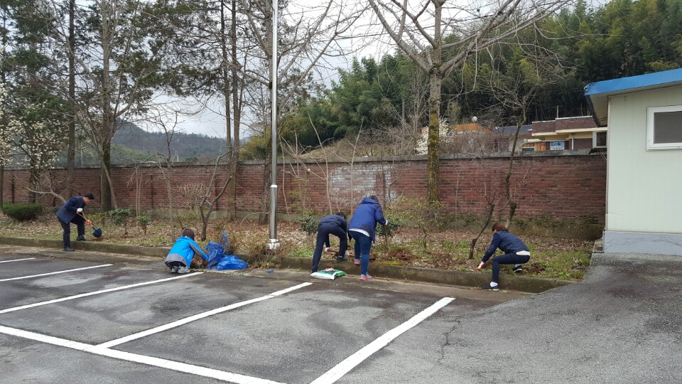 [안전℃ 광주] 식목일 ...