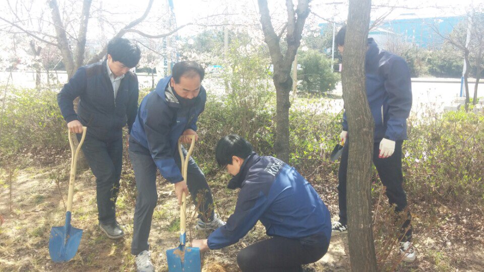 [전북서부지사]나무심기 ...