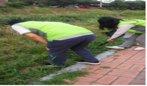 [전북] 환경봉사활동
