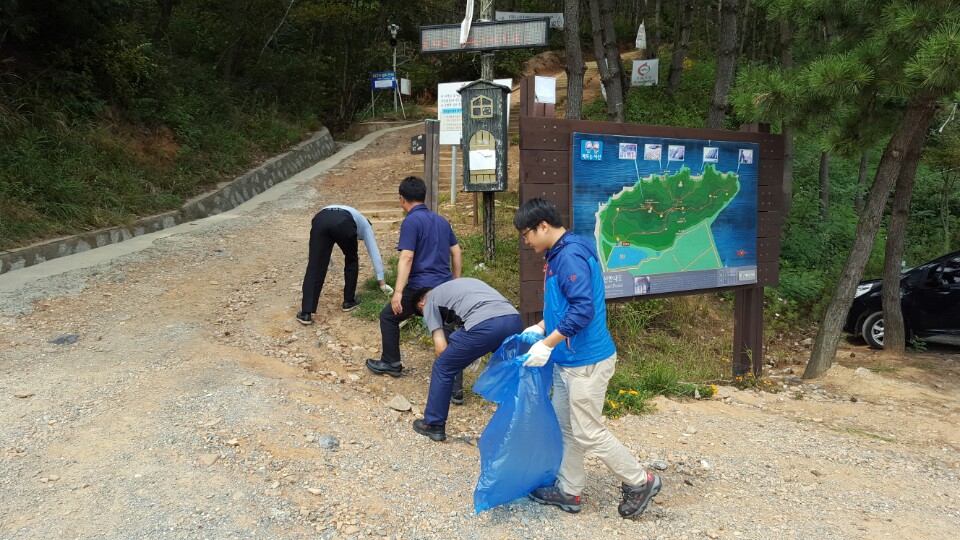 청사주변 환경정화활동