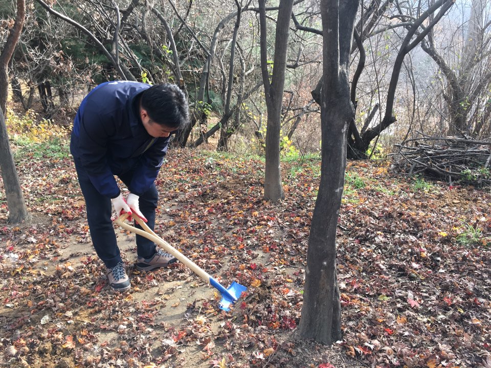 [STAR충북] 숲 가꾸...
