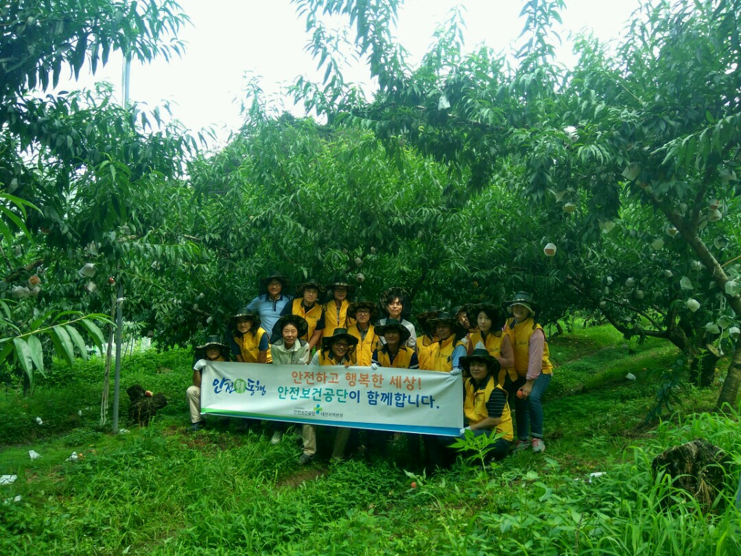 [SF대전] 농촌마을 시...