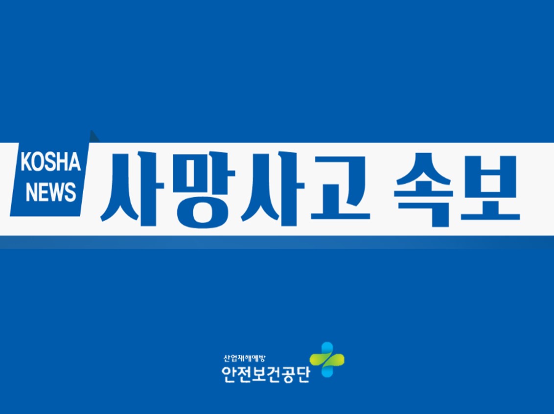 기본썸네일이미지