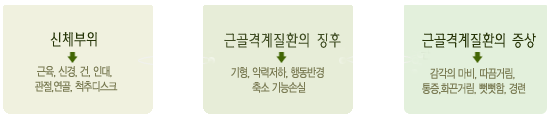 1.신체부위-근육,신경,건,인대,관절,연골,척추디스크
																																	 2.근골격계질환의 징후-기형,악력저하,행동반경,축소 기능손실
																																	 3.근골격계질환의 증상-감각의 마비,따끔거림,통증,화끈거림,뻣뻣함,경련