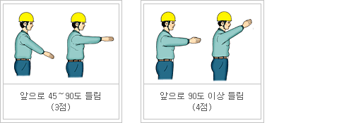 아래팔 자세에 대한 분류체계 이미지