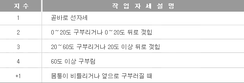 몸통 자세에 대한 분류체계