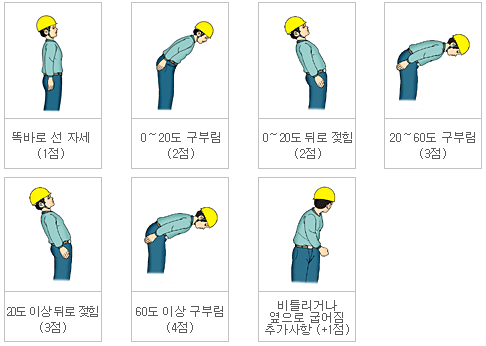 몸통 자세에 대한 분류체계 이미지