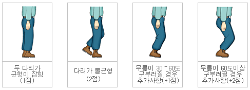 다리 자세에 대한 분류체계 이미지