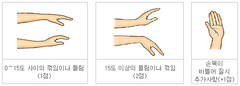 손목 자세에 대한 분류체계 이미지