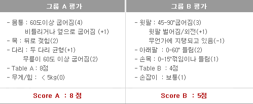 그룹 A 평가

																														  -몸통:60도이상 굽어짐(4),비틀리거나 옆으로 굽어짐(+1)

																														  -목:뒤로 젖힘(2)

																														  -다리:두 두라 균형(+1)

																														  -Table A:8점

																														  -무게?힘:<5Kg(0)

																														  Score A: 8점



																														  그룹 B 평가

																														  -윗팔:45-90°굽어짐(3),윗팔 벌어짐/외전(+1),무언가에 지탱되고 있음(-1)

																														  -아래팔:0-60°들림(2)

																														  -손목:0-15°꺾임이나 들림(1)

																														  -Table B:4점

																														  -손잡이:보통(1)

																														  Score B: 5점