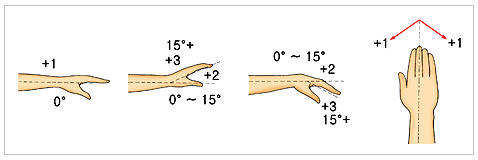 손목(wrist)의 위치에 대한 평가
