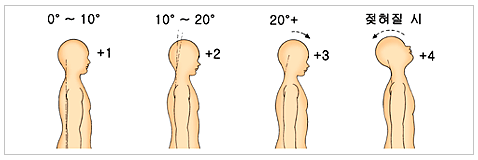 목의 위치에 대한 평가