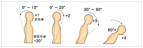 몸통의 위치에 대한 평가