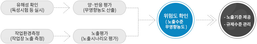 Risk Assessment Process